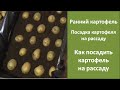 Ранний картофель | Посадка картофеля на рассаду | Как посадить картофель на рассаду