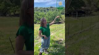 Kara Tupy U0026 Ccof Foundations Organic Transition Program