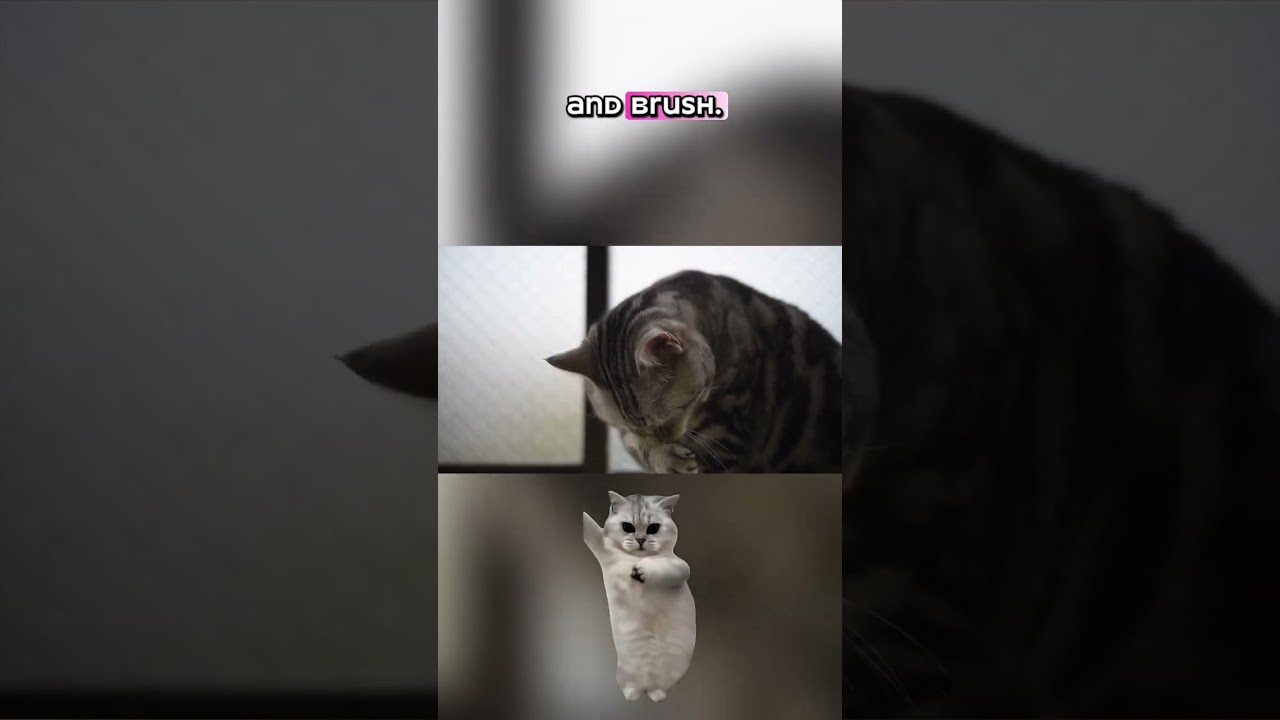 Get Tangle Free Hair in Just 5 Minutes with Cat Detangler!