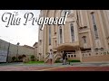 The Ninja Proposal