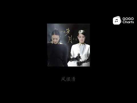 王菲/那英 - 岁月 (动态歌词)