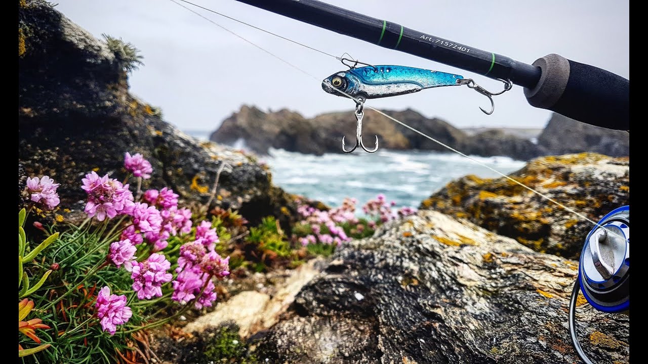 Choisir son moulinet de pêche  Conseils -  - Dingue d