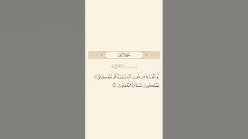 سورة الزمر: الآية 43 #قرآن #قران_كريم #اكسبلور #quran #سورة_الزمر