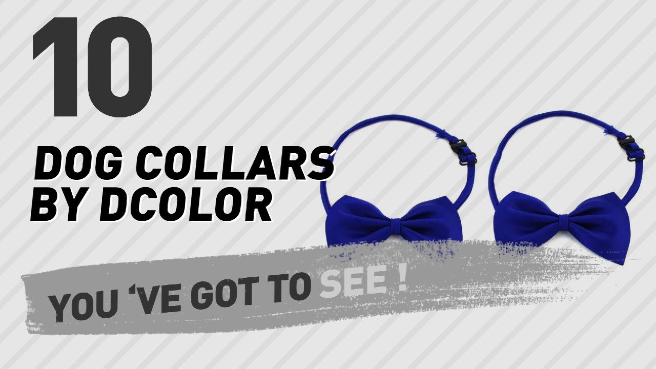 cats inn Dog Collars By Dcolor // Top 10 Most Popular