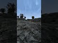 Killing the adoring fan in Morrowind every day until Skywind and Skyblivion are released Day - 713