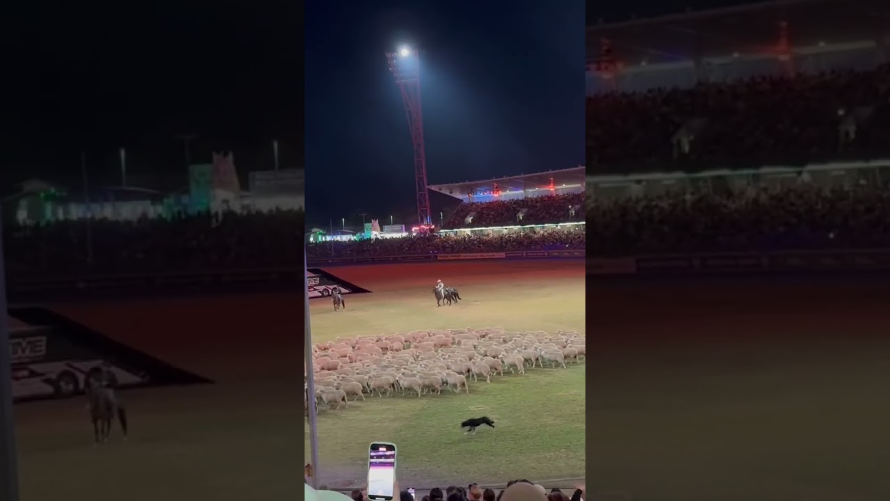 We are Australian 2025 Easter Show