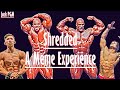 Shredded - A Meme Experience