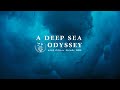 A Deep Sea Odyssey with Oliver Steeds at Vakkaru Maldives