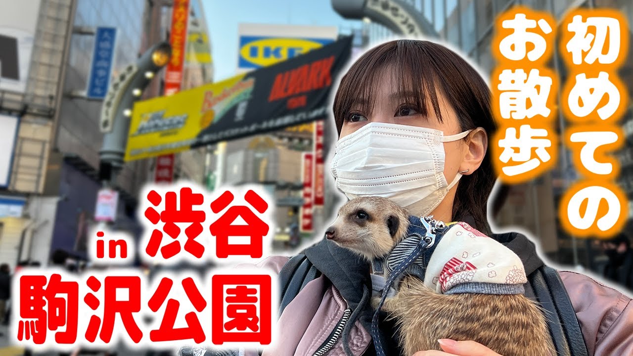 【癒し】ミーアキャットのメロちゃんとお散歩！初めての大都会で大騒ぎ！？