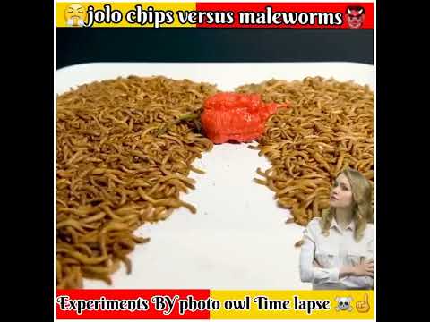 Time lapse  Experiments - 6 month challenge ! Mr indian Hacker & Crazy XYZ New #shorts - Time lapse  Experiments - 6 month challenge ! Mr indian Hacker & Crazy XYZ New #shorts