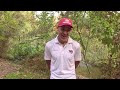 Coach Gary Towne on Chico State winning the 2025 CCAA Cross Country Championships