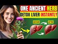 Top 11 Ancient Herbs That Detoxify the Liver and Fight Cancer Naturally (Doctors Shocked)