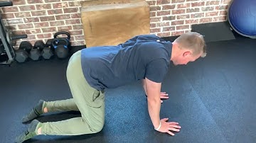 Quadruped Scapular Push-Up