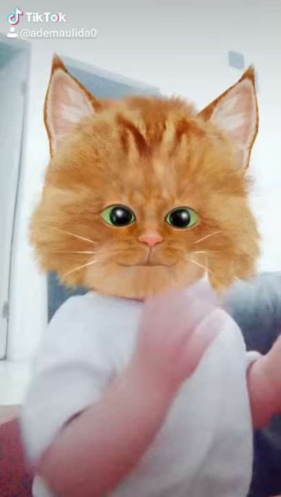 tikto taktiktuk