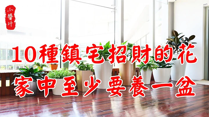 【植物風水】風水師提醒，這10種花能招財鎮宅，家中一定要養一盆 - 天天要聞