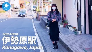 ⁴ᴷ Kanagawa: Isehara Station (伊勢原駅) - Japan Walking Tour (March, 2023)