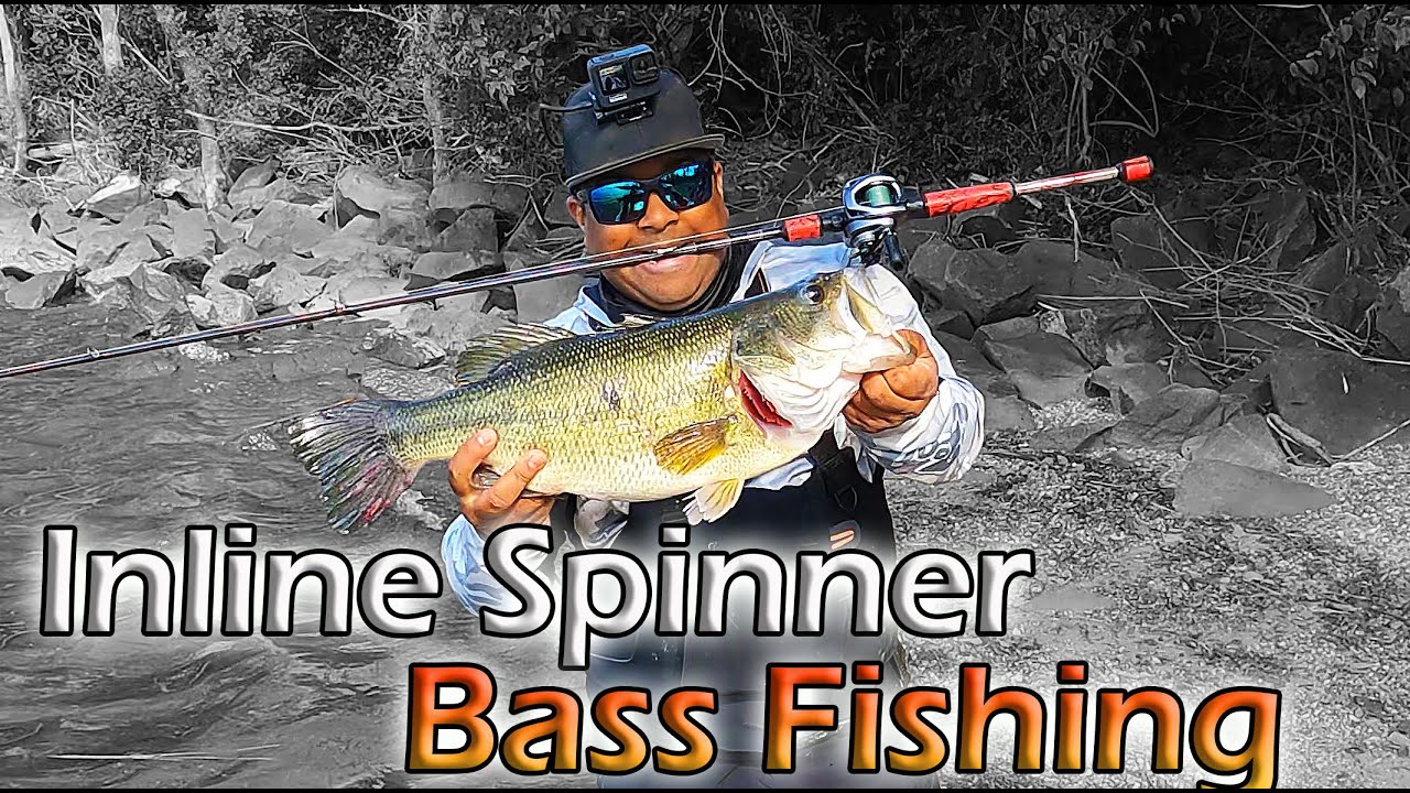 6 Pound Maryland Bass, Inline Spinners, Cardinal ATTACKS, and Bass