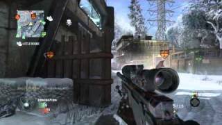 Call of Duty: Black Ops - Nice L96A1 All Pro (Headshot Collatteral) on Array