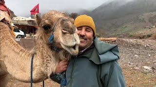 Why Every Tourist Should Visit the Atlas Mountains! ???????? | Morocco Travel 2020