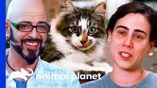 Shelter Cat With Troubled Past Finally Gets Adopted | My Cat From Hell