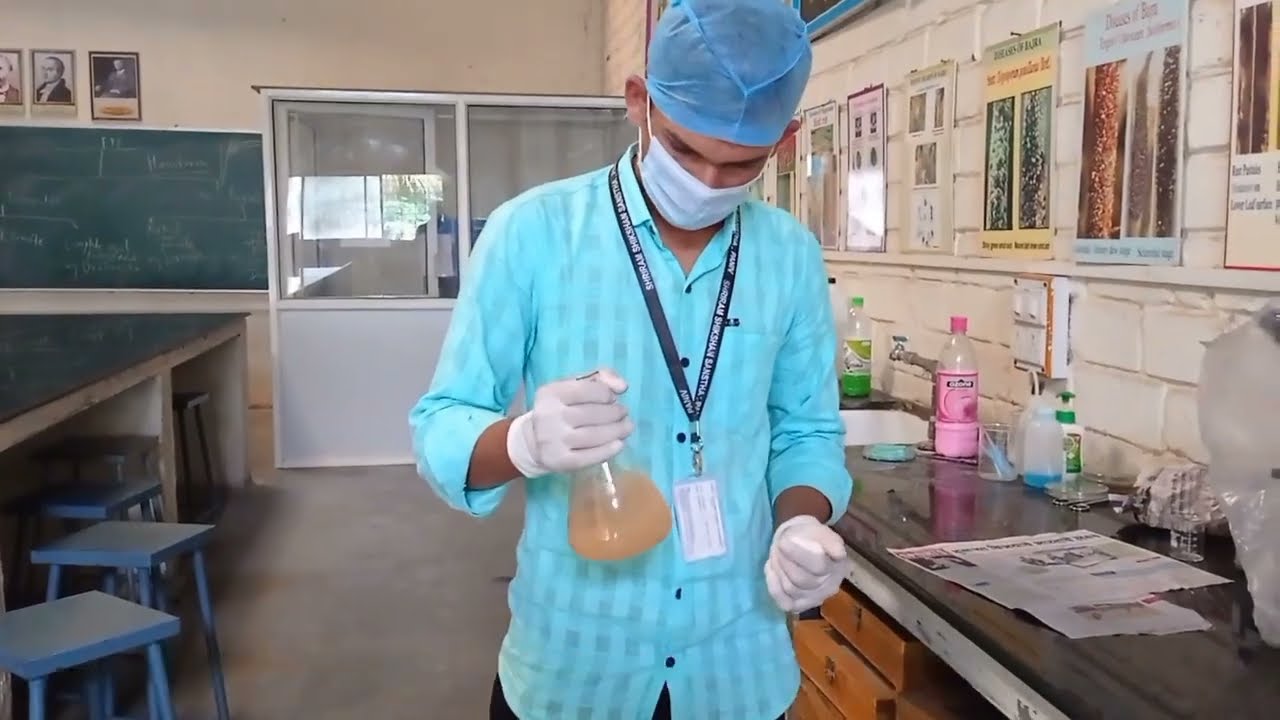 ISOLATION OF PSB (PHOSPHATE SOLUBILIZING BACTERIA) 