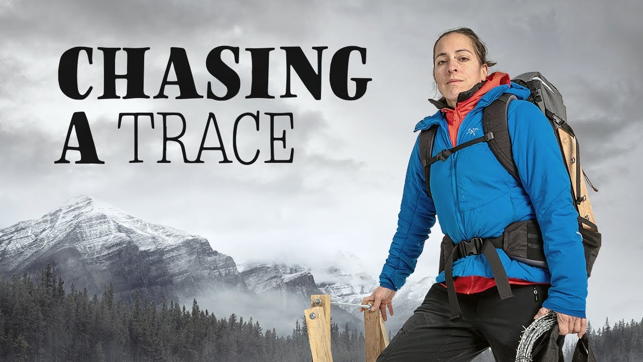В погоне за следом