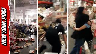 Chaos in Japan Costco as 7.1 Earthquake Sends Items Crashing Down From Shelves