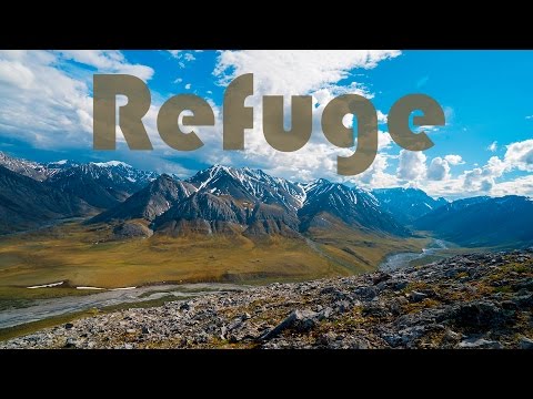 Refuge | Short Film in Alaska&rsquo;s Arctic National Wildlife Refuge