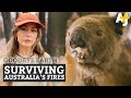 The World's Only Koala Hospital vs. Australia Bushfires