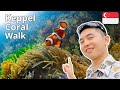 Singapore Secret Underwater Garden - Coral Walk at Keppel