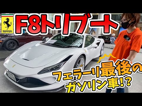 良いもの、たくさん^_^ 　F8（持ち手追加） Highly recommended [DIO ZX] The naughty version was too