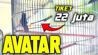 Crazy.. ‼️ 22 million tickets for AVATAR FULL EMOTION..