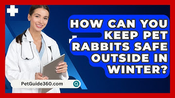 How Can You Keep Pet Rabbits Safe Outside in Winter? - PetGuide360.com