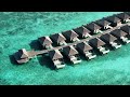 Watch This Before Work &amp; Manifest a Maldives Vacation FAST 💸🌴