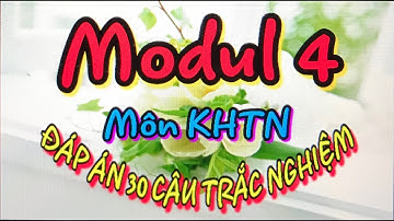 Modul 4 | Đáp án Mô dun 4 | Đáp án 30 câu trắc nghiệm | Môn KHTN | Tập huấn GDPT 2018 | LMS | Châu T