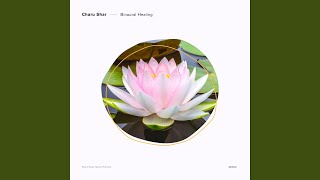 Download lagu Binaural Alpha Sinus 110Hz - 118Hz
