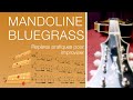 Mandoline bluegrass  repres pratiques pour dbuter puis improviser