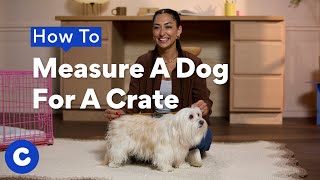 How To Measure A Dog For A Crate | Chewtorials