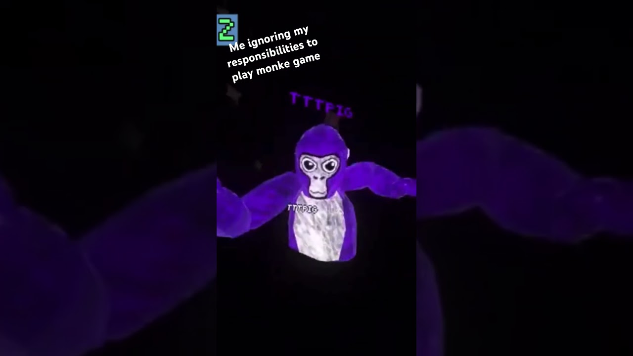 TTTPig takes a break to have a lil dance party