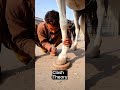 😱 Ghoron Ke Pao Ke Neeche Loha Kyun Lagaya Jata Hai? | Amazing Horse Shoe Process |#shorts #funny