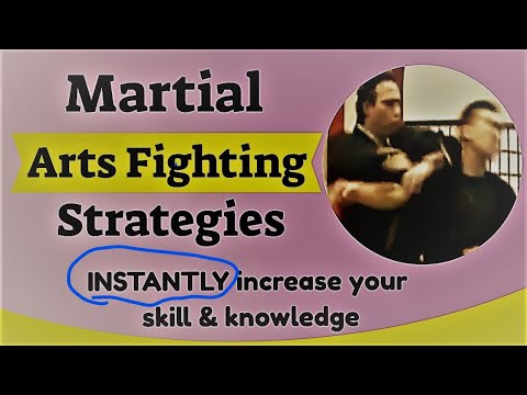 Martial Arts Fighting 👊 Strategies - Martial Arts 💥 Fighting Strategy: GM Jim Brassard