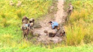mudslide 0001