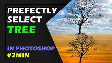 Perfectly Selection of Tree in Photoshop [Easy Method]