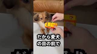 ネジを回すと恐竜になる車にアロンアルファを塗れば車で走り続けるはず！