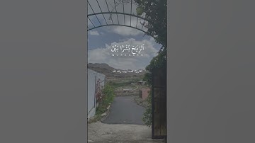 #محمد_ايوب #القران_الكريم #تلاوة_خاشعة #قرآن #القرآن_الكريم #قران
