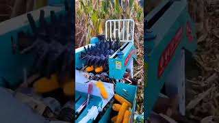 Mini Walk-Behind Corn Harvester | Efficient Smart Farming Equipment #agritech #satisfying #viral