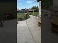Всем нужно внимание ❤️