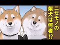 柴犬になり代わろうとする●●●！？【アニメ】【漫画】