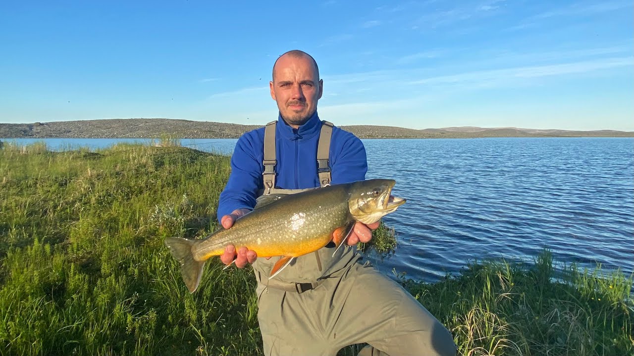 Norja Finnmark Rautu 7/2022