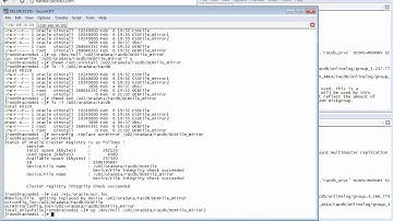 06.04.04_Oracle_10gR2_RAC_6.4.4 Add an OCR File_20120206.flv